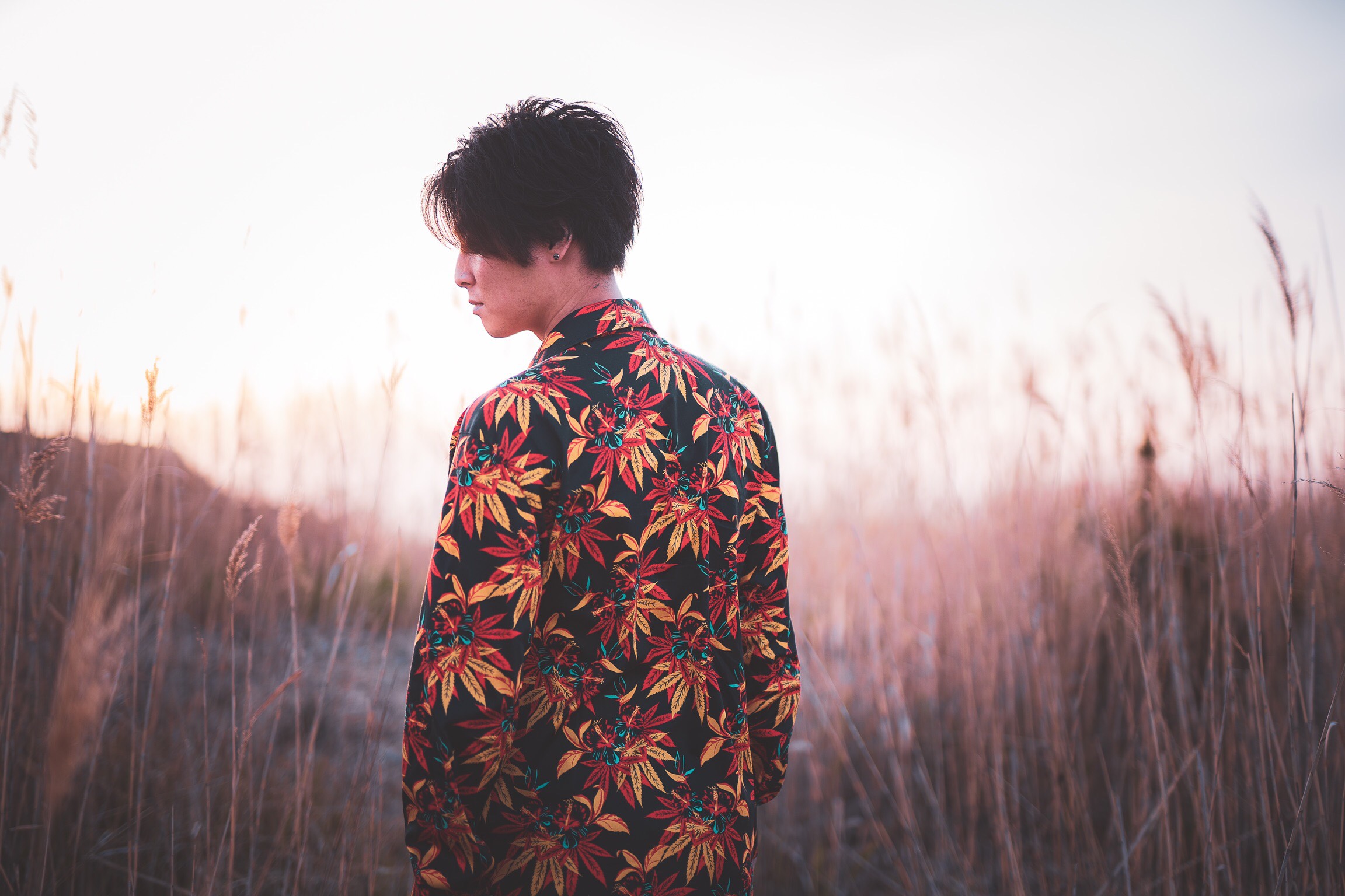 TAISEI